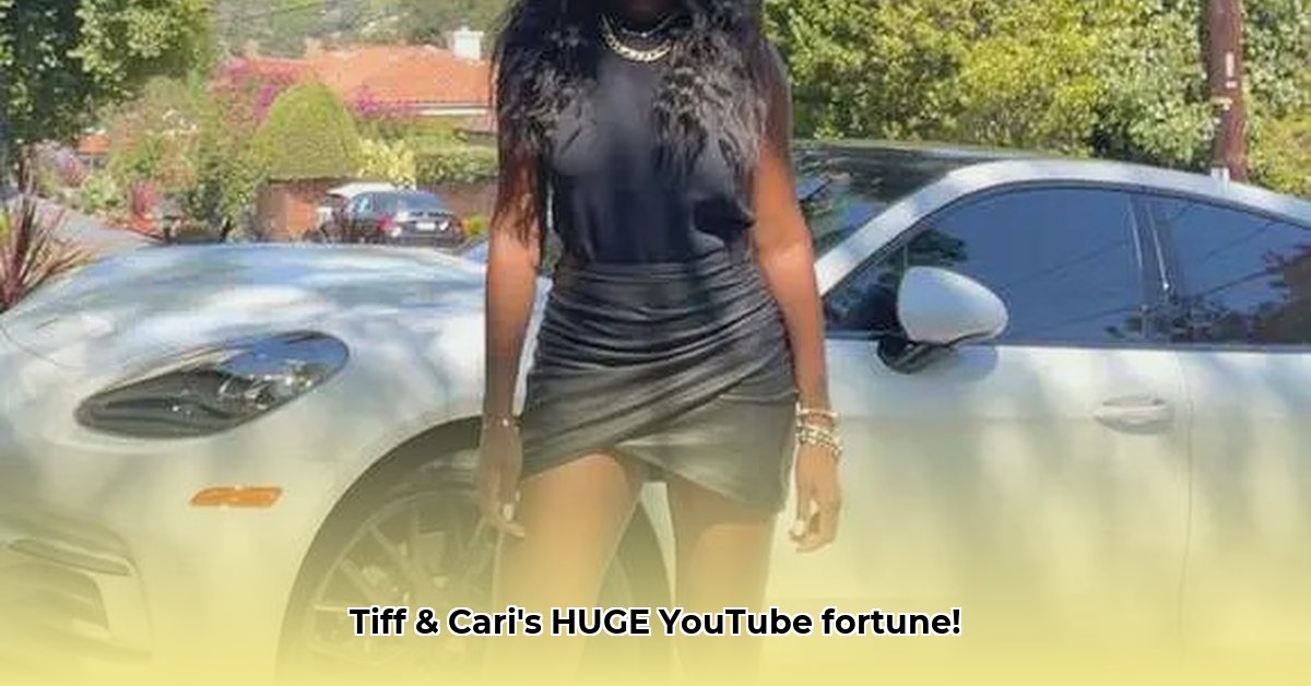 tiff-and-cari-net-worth